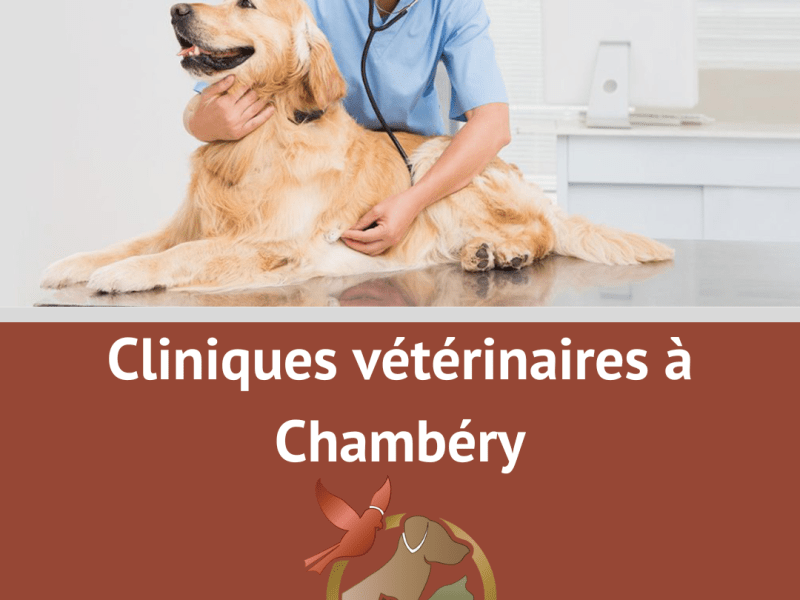 Vétérinaire Chambéry : liste,&nbsp;avis