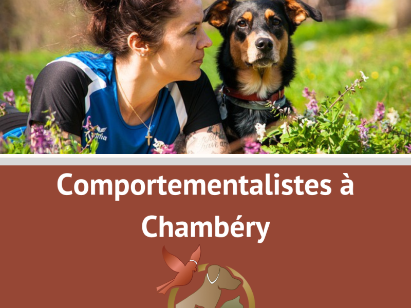 Comportementaliste Chambéry