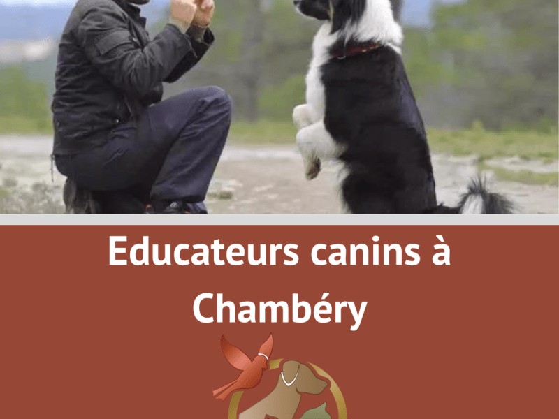 Education canine Chambéry : qui,&nbsp;prestations