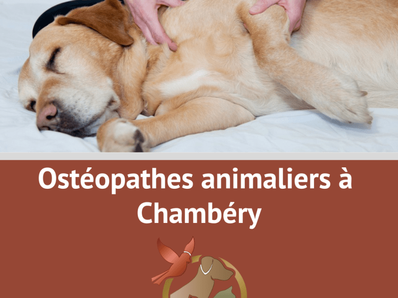 Ostéopathe animalier Chambéry